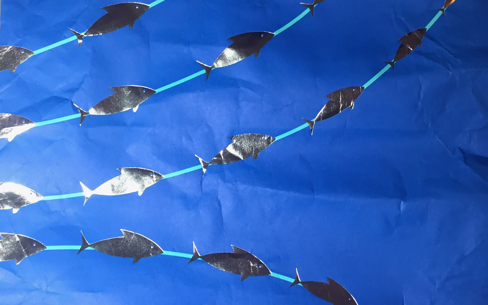 Mehr über den Artikel erfahren The Fish